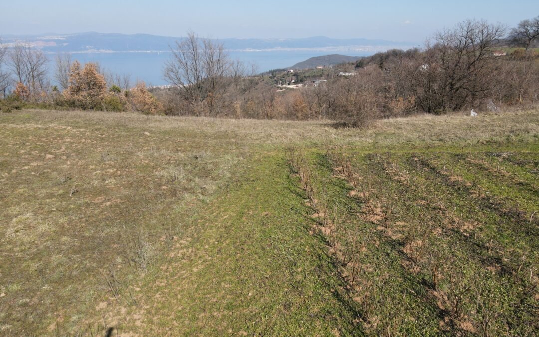 (B 215)Investment land for sale in Karamürsel-Kocaeli