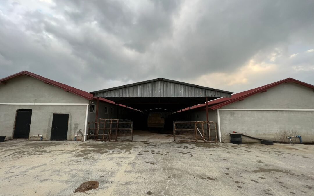 B 421 Investment opportunity, farm for sale in Marmara Province